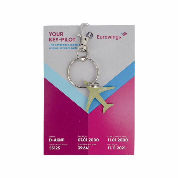 Aircraft Skin Keychain